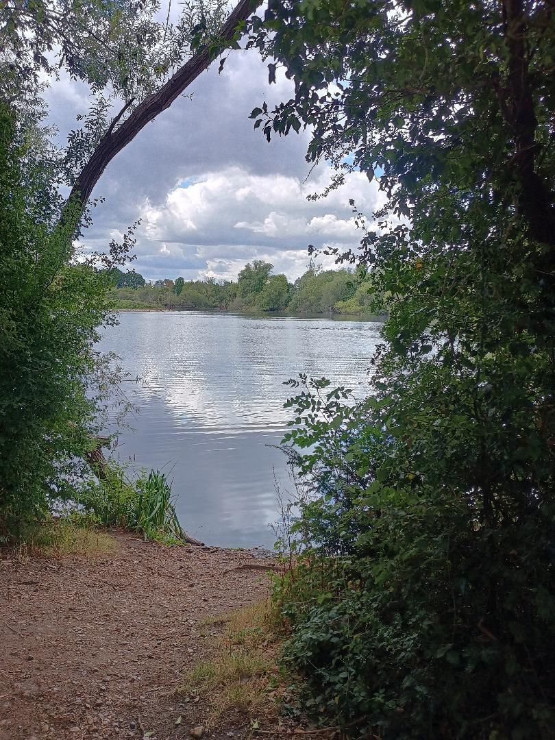 Loddon lakes